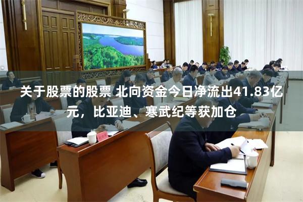 关于股票的股票 北向资金今日净流出41.83亿元，比亚迪、寒武纪等获加仓