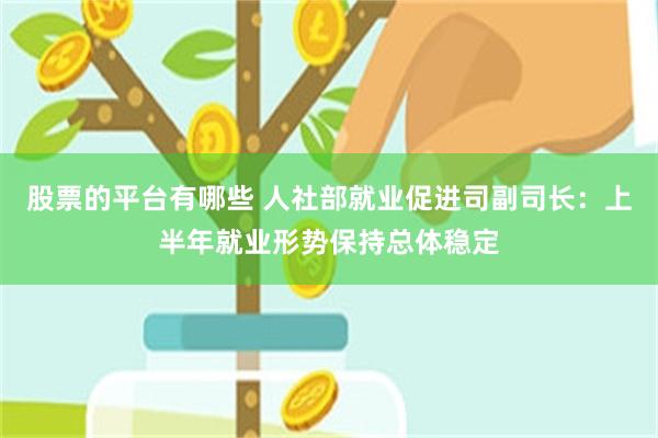 股票的平台有哪些 人社部就业促进司副司长：上半年就业形势保持总体稳定