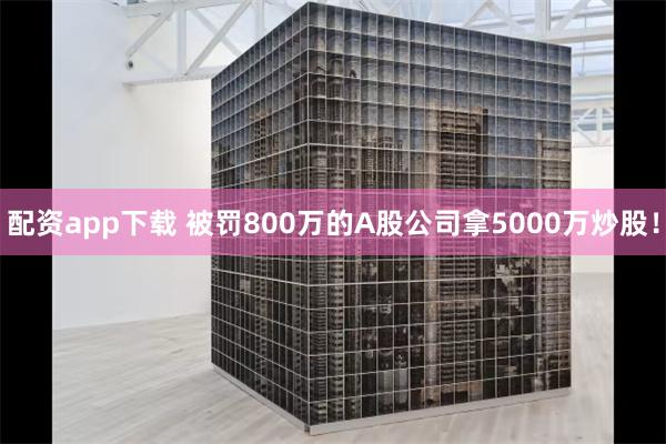 配资app下载 被罚800万的A股公司拿5000万炒股！