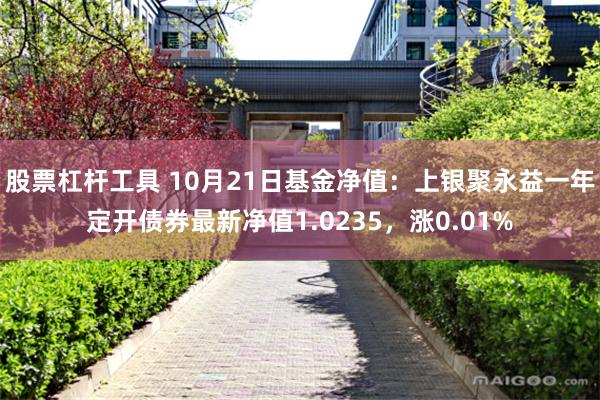 股票杠杆工具 10月21日基金净值：上银聚永益一年定开债券最新净值1.0235，涨0.01%