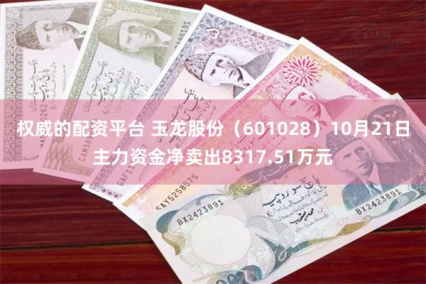 权威的配资平台 玉龙股份（601028）10月21日主力资金净卖出8317.51万元