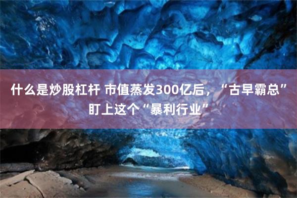 什么是炒股杠杆 市值蒸发300亿后，“古早霸总”盯上这个“暴利行业”