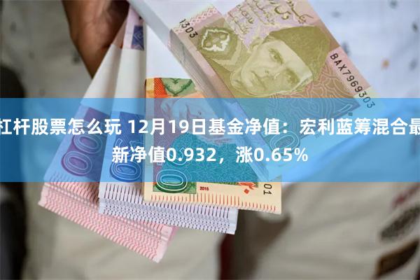 杠杆股票怎么玩 12月19日基金净值：宏利蓝筹混合最新净值0.932，涨0.65%