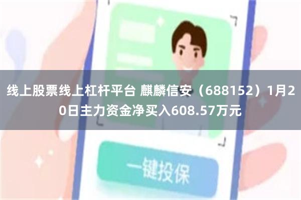 线上股票线上杠杆平台 麒麟信安（688152）1月20日主力资金净买入608.57万元