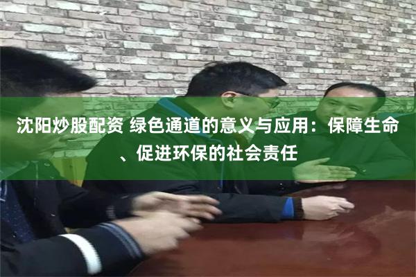 沈阳炒股配资 绿色通道的意义与应用：保障生命、促进环保的社会责任