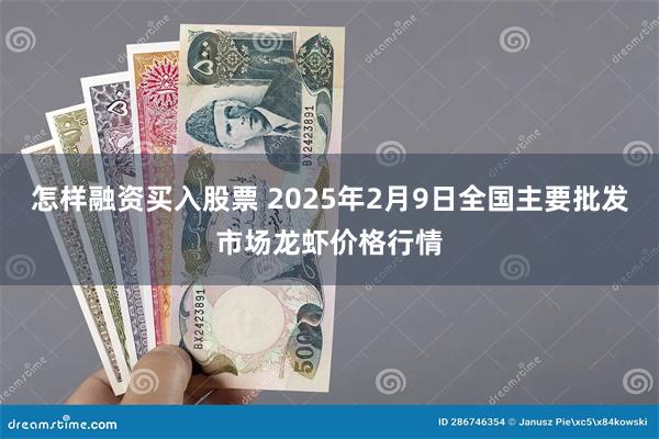 怎样融资买入股票 2025年2月9日全国主要批发市场龙虾价格行情