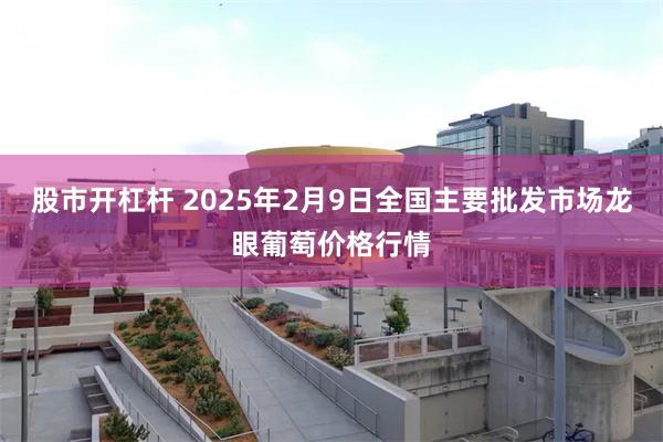 股市开杠杆 2025年2月9日全国主要批发市场龙眼葡萄价格行情