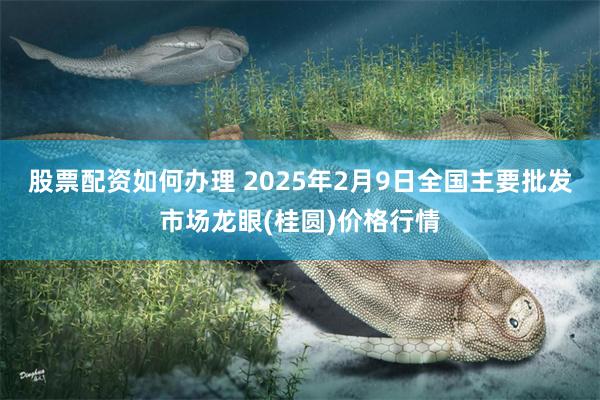 股票配资如何办理 2025年2月9日全国主要批发市场龙眼(桂圆)价格行情